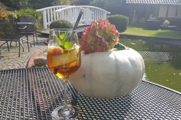 Tiemanns Hotel (Stemshorn)